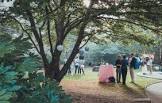 The Churchyard