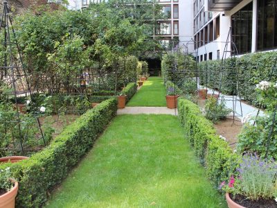 The Garden