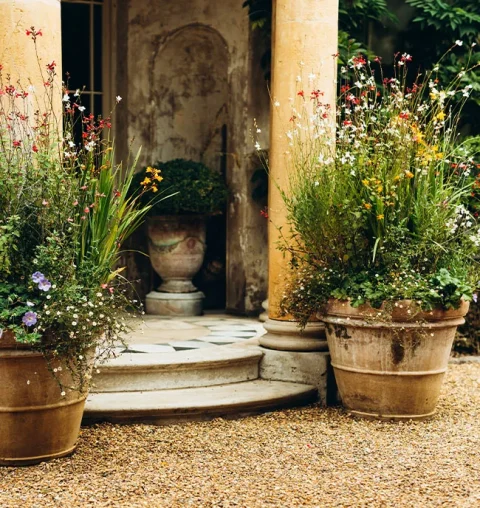 View Full Details for Petersham Nurseries Richmond, Church Lane, Off Petersham Road, Richmond