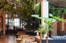 Images for Wild by Tart, 3-4 Eccleston Yards, Belgravia